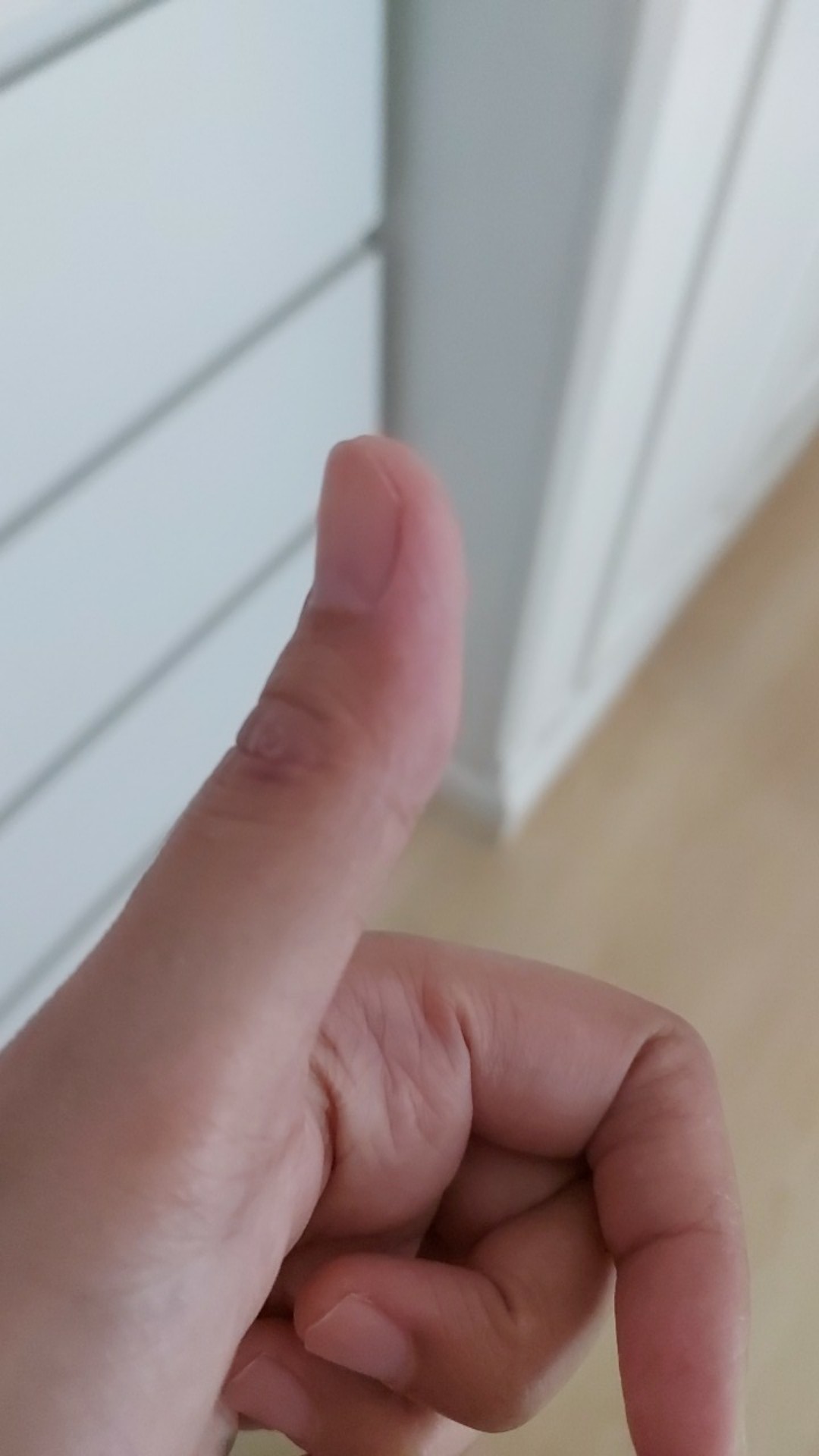 Pureco 250ml Hand & Surface Sanitizer / Multisurface Cleaner