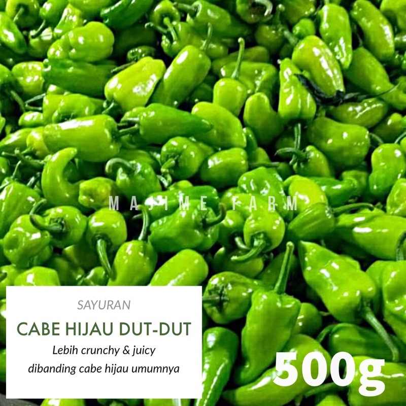 

MAJIME Farm - Cabe Hijau / Cabe Ijo/ Cabai Hijau Besar Gemuk Segar 500gram .