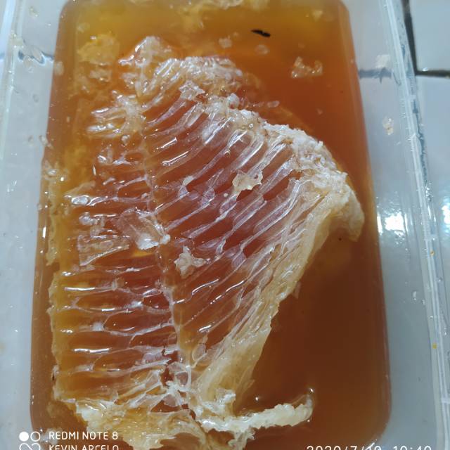 

Sarang Madu Hutan borneo