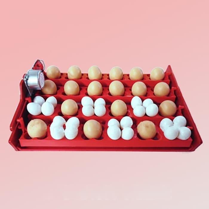 Olahraga Tray Inkubator Holder Telur Ayam Burung Puyuh Bebek 12 Slot Deng Sport Shopee Indonesia