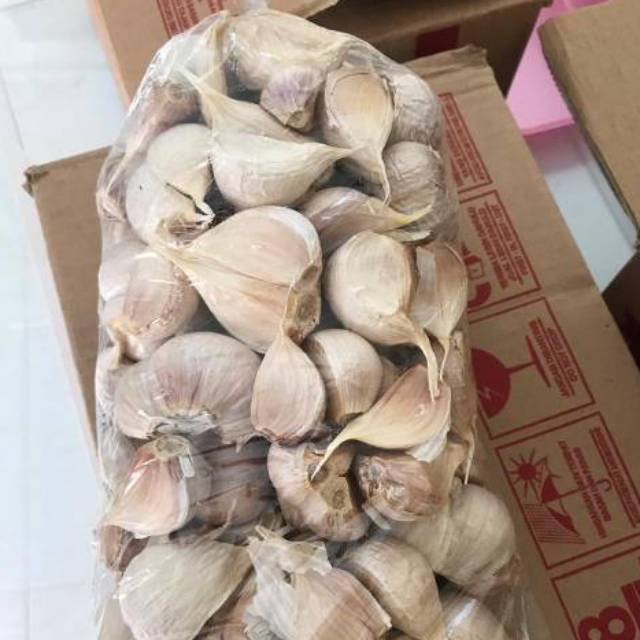 

Bawang Putih Cutting