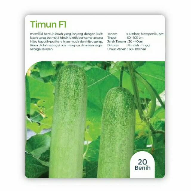 Benih Timun F1 - 20 benih