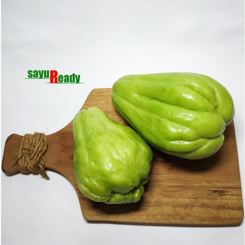

Labusiam Besar (per buah)