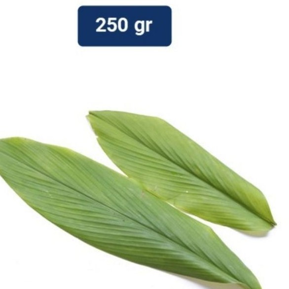 

Daun Kunyit Segar 100 gr dan 250 gr