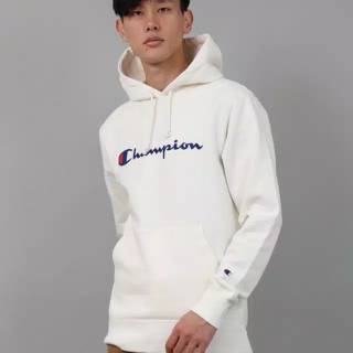 JAKET HOODIE PRIA CHAMPION  SCRIPT LOGO JAPAN  MARKET  