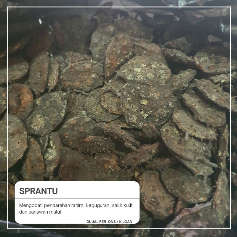 

seprantu kering 500gr/ sprantu
