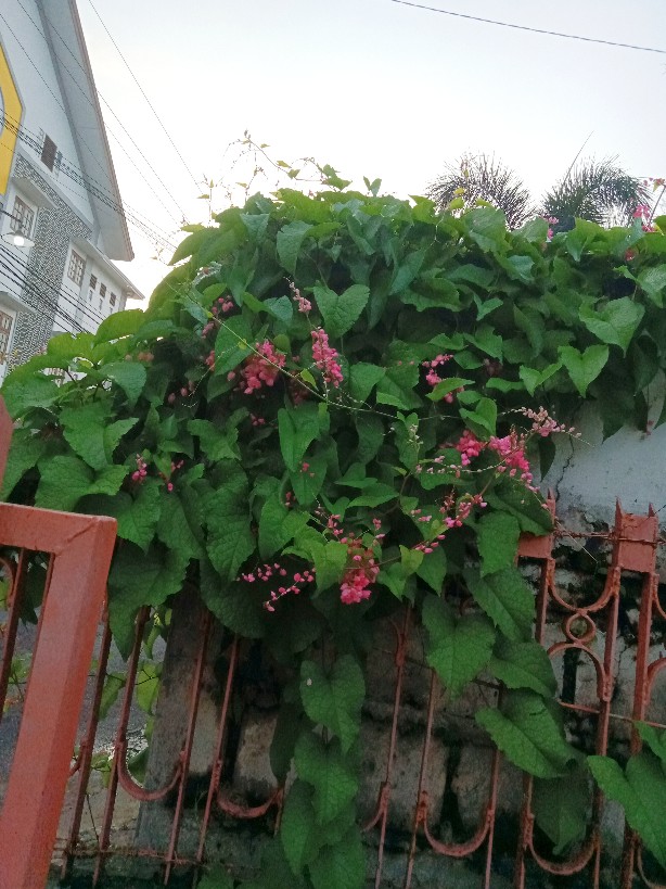 Monellina Arune Kaos Batik Oversize Wanita Lengan Panjang