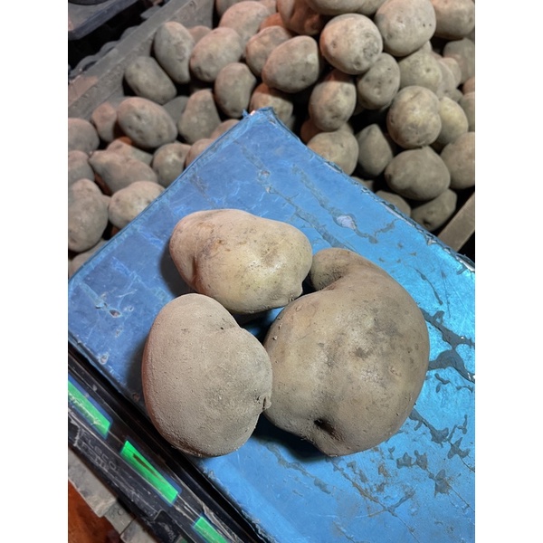 

Kentang Dieng Super AL 500gram