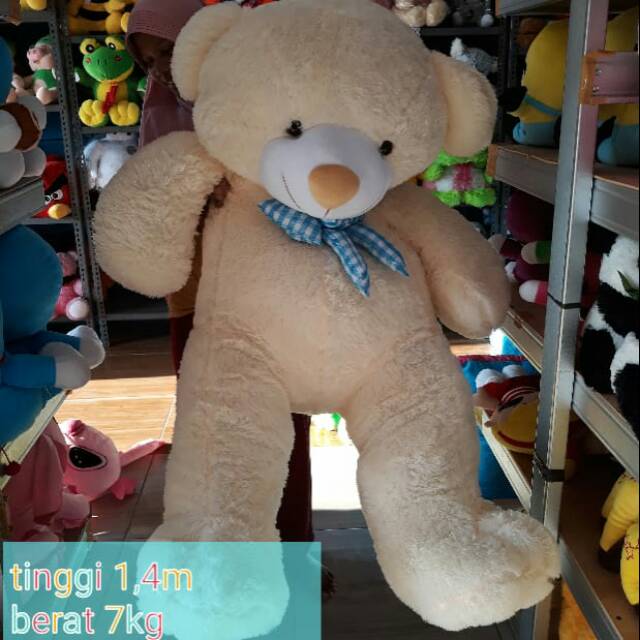 teddy bear besar murah