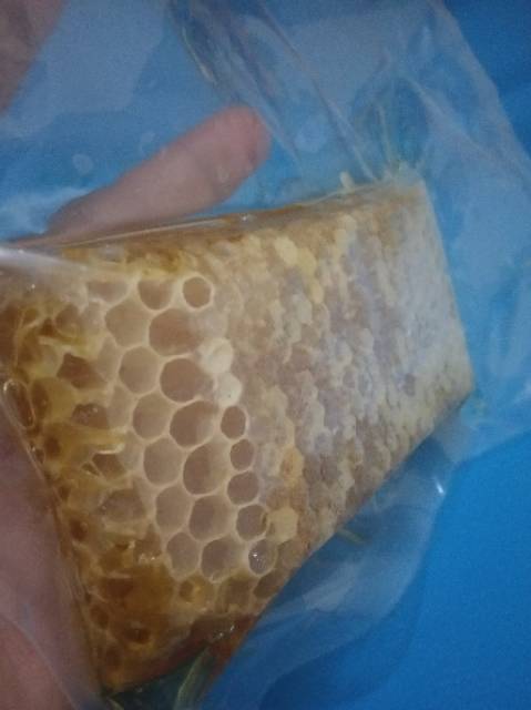 [250 GR] SARANG MADU ASLI MELIFERA TERMURAH / MADU SARANG / HONEYCOMB