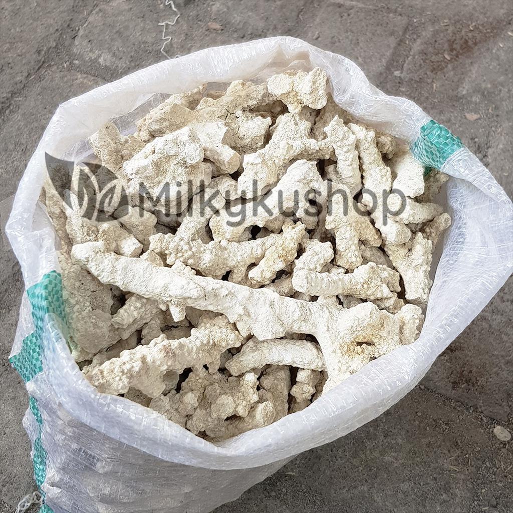 BATU KARANG JAHE - MEDIA FILTER KOLAM AQUASCAPE VIA CARGO