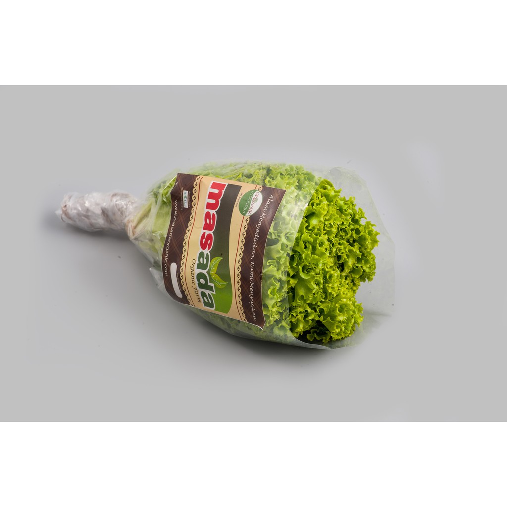 

Selada Keriting 250gr Sayuran Organik
