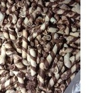 

patahan astor mayora