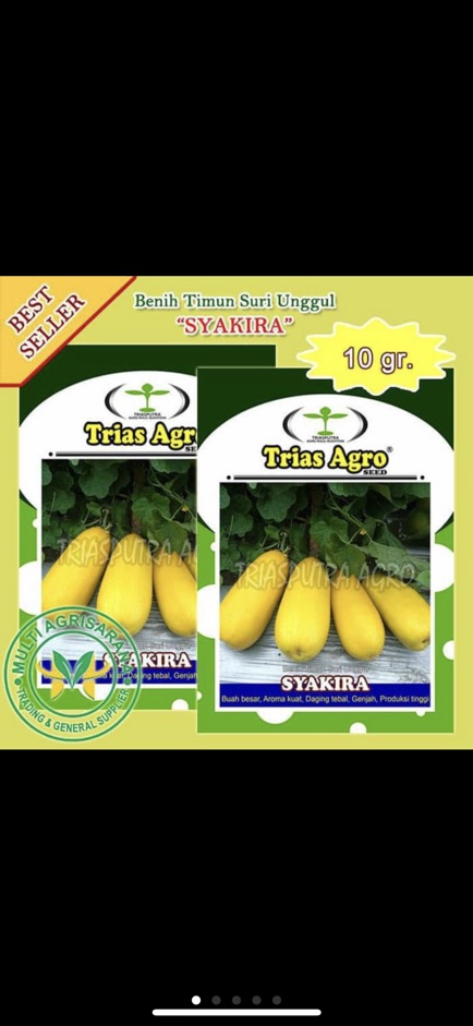 Benih Timun Suri Syakira 10 gr Trias Agro seed-1