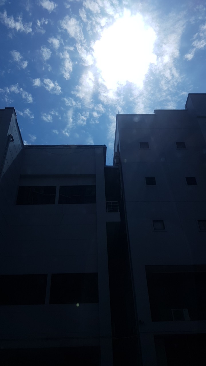 Mic Stainless Steel Garlic Press High Quality Handheld Garlic Press Tekan Bawang Putih