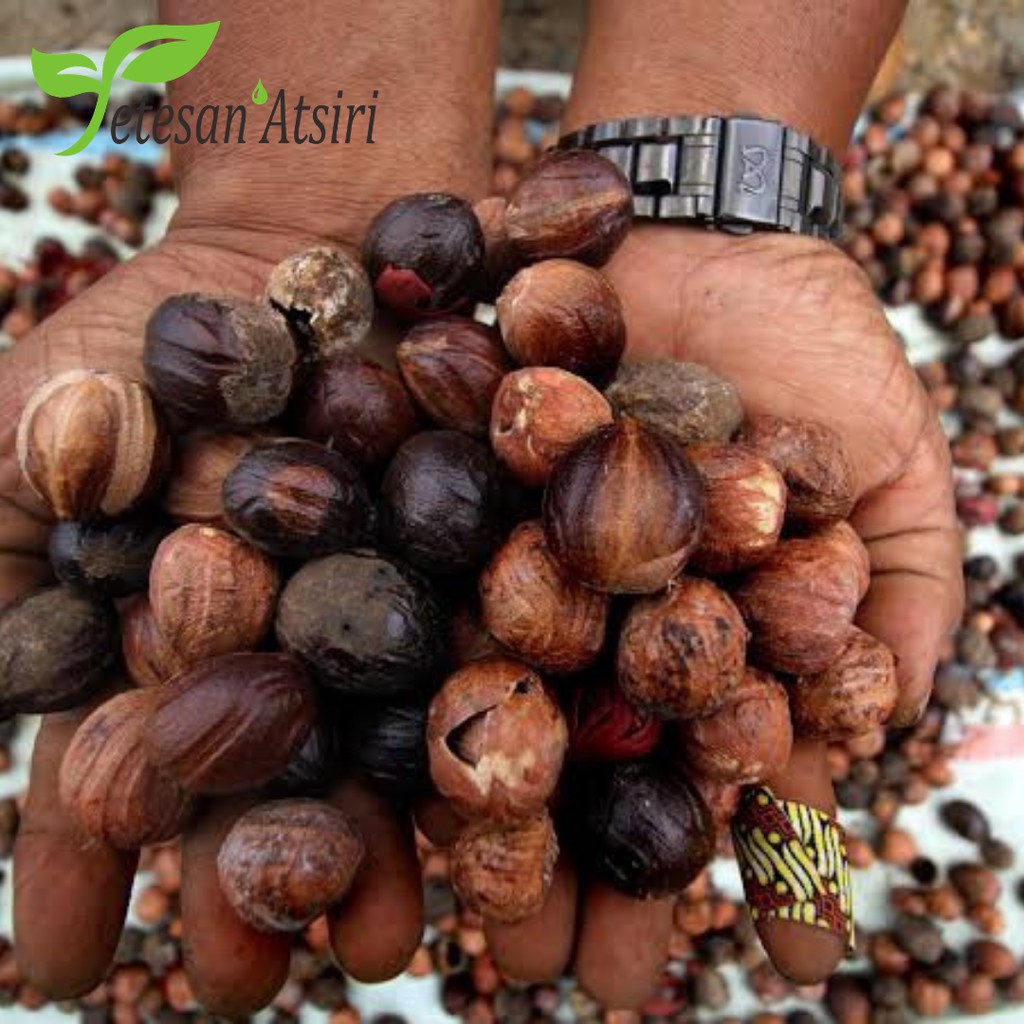 250ml minyak atsiri pala murni 100% nutmeg pure essential oil essensial oil 100% tanpa campuran