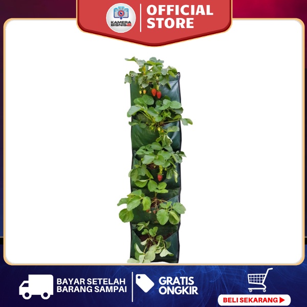 Wall planter pot dinding tanaman tanaman hias pot dinding 5 kantong