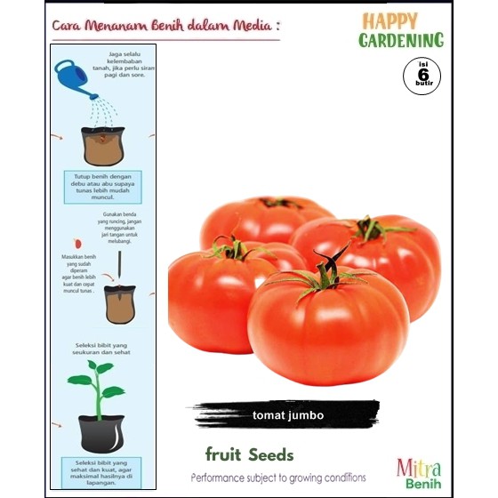 bibit biji benih tanaman buah tomat jumbo isi 6butir
