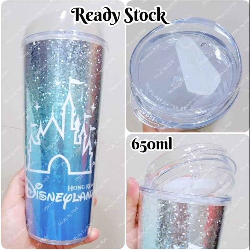 Tumbler Disneyland Hongkong