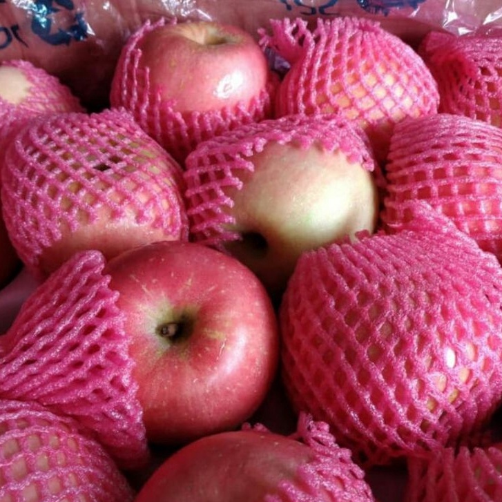 

Buah Apel Fuji Premium 1 Kg