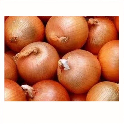 

Bawang Merah Peking 250gr | Pasar Induk Pekanbaru #Harga_Grosir