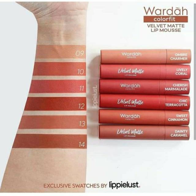 Wardah Colorfit Velvet Matte Lip Mousse no 01-14