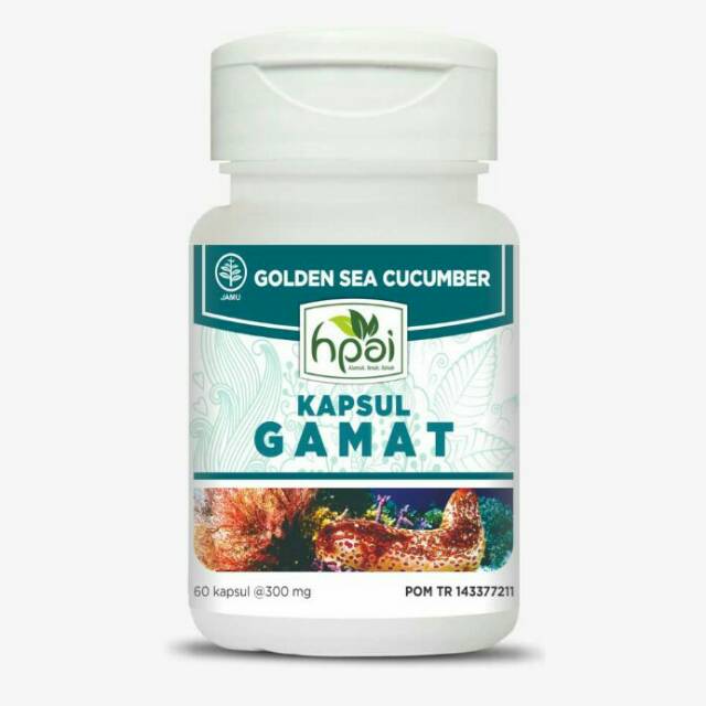 Gamat HNI HPAI