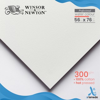  Kertas  Cat Air Winsor Newton Professional 56x76cm 