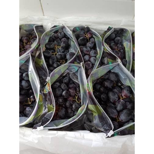 

Anggur Hitam Seedless