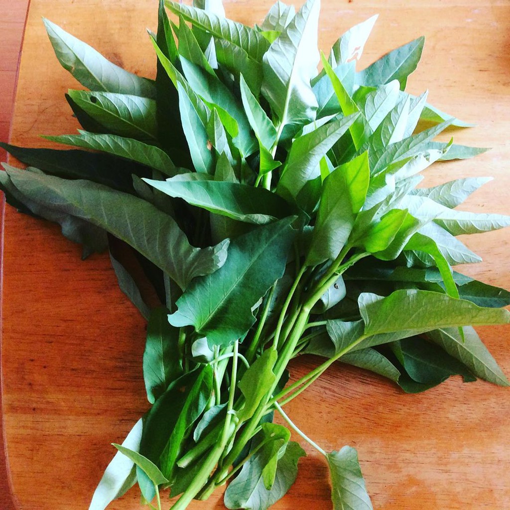 

Kangkung Segar