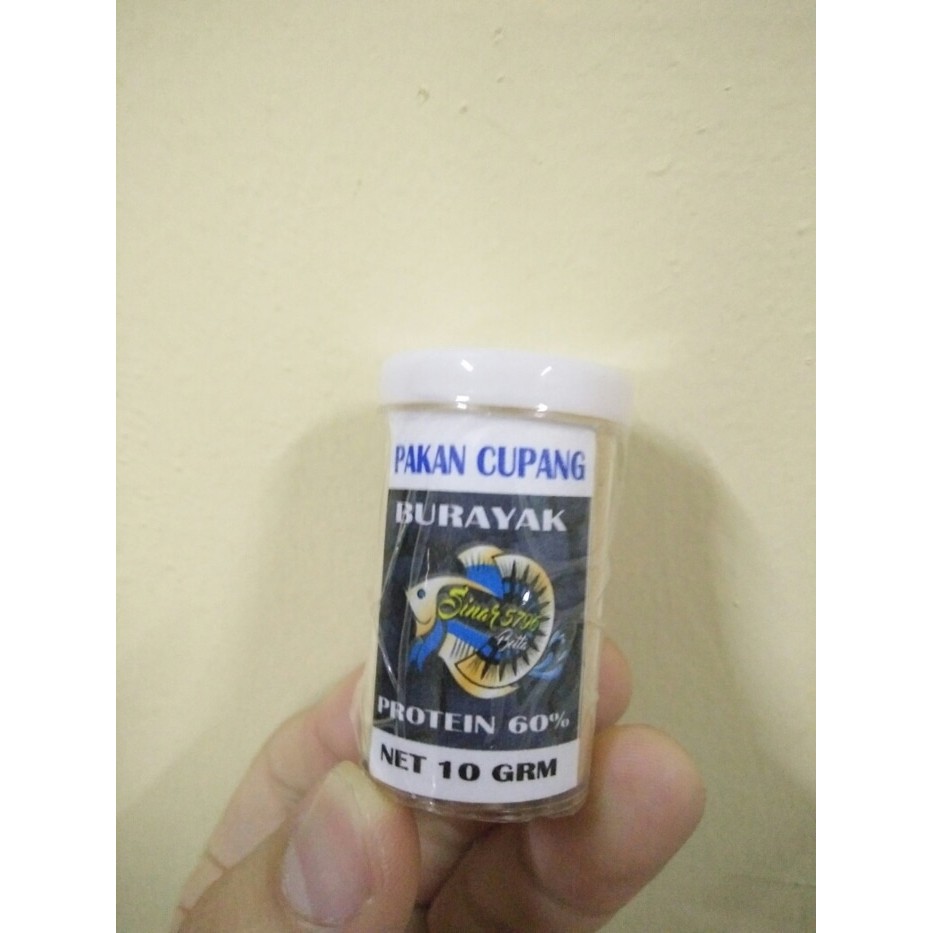 Pakan burayak ikan cupang umur 4 hari selain artemia