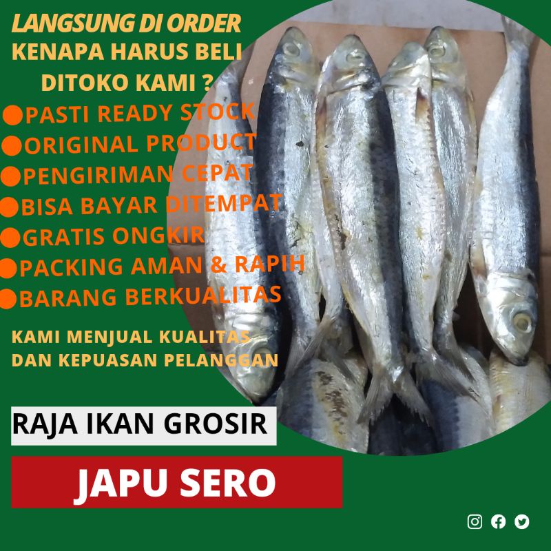 

IKAN ASIN JAPU SERO 500 GRAM