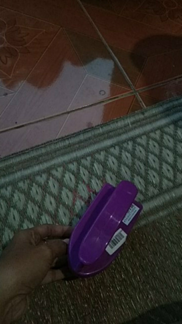 Hawaii Striko Sikat Baju