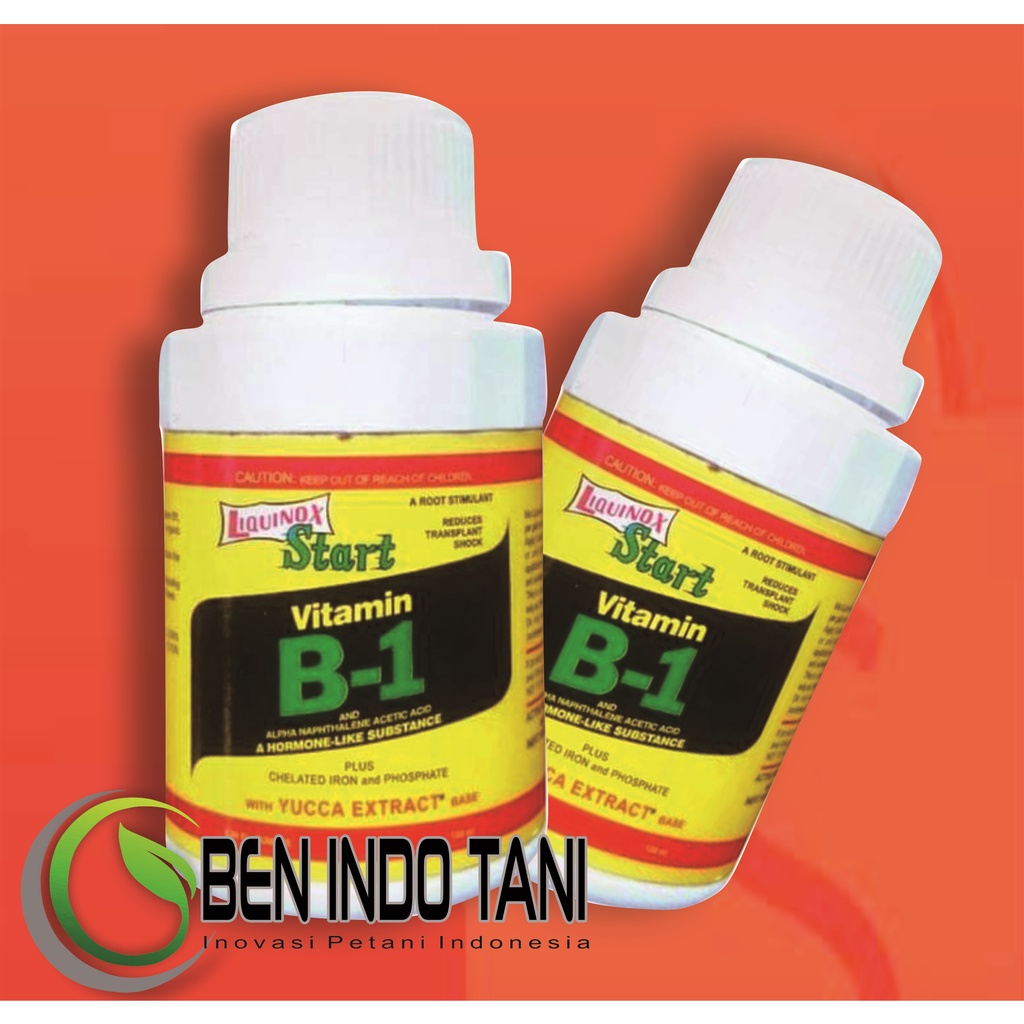 Jual Pupuk Liquinox Start Vitamin B1 100 ML | Shopee Indonesia