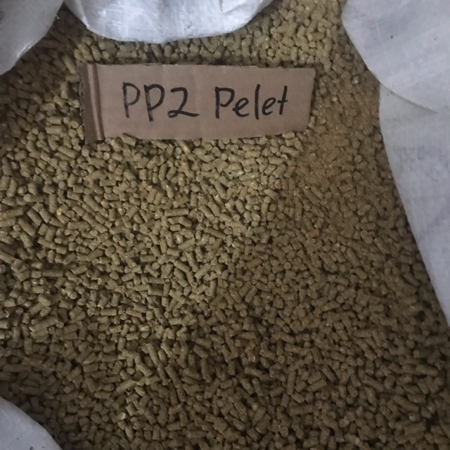 Pakan Ayam PP2 Pelet/Pur Ayam PP2 Pelet