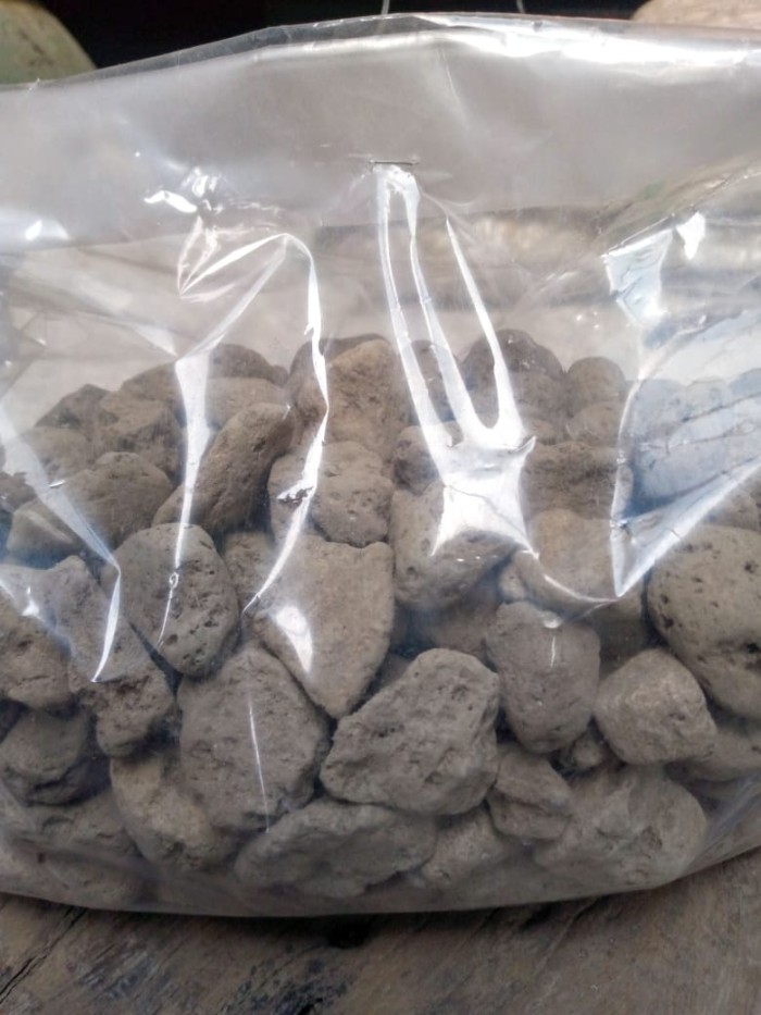 TERBARU PUMICE ROCK BATU APUNG MEDIA TANAM 1KG TERBAIK