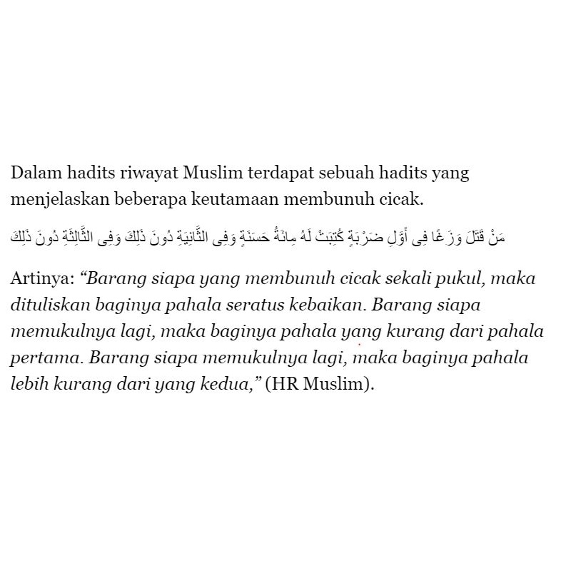 RACUN CICAK RACAK HERBAL ALL IN 1 BISA UNTUK MEMBASMI CICAK TOKEK DAN KECOA TERBUKTI PALING AMPUH