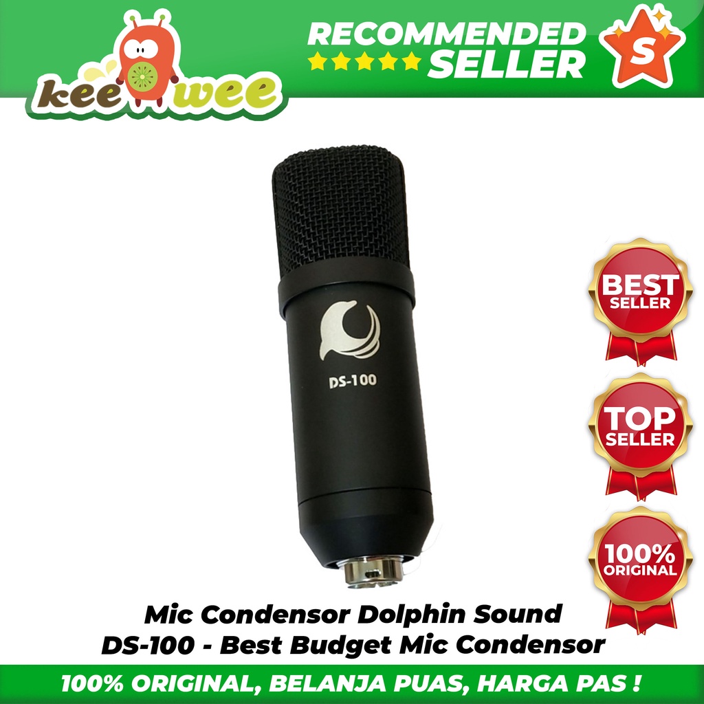 Mic Condensor Dolphin Sound DS-100 - Best Budget Mic Condensor