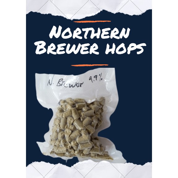 

terlaris Northern Brewer hops 9.9%AA