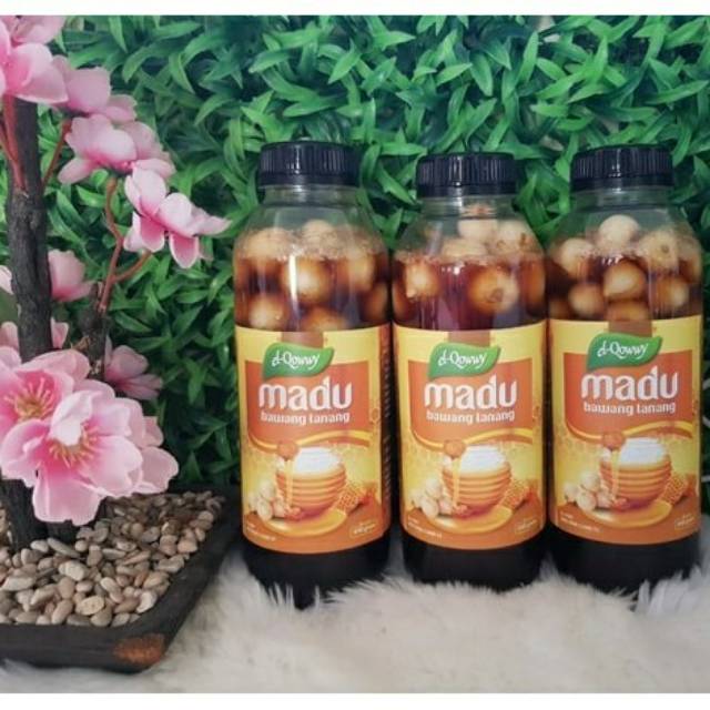 

[ BISA COD ] MADU BAWANG LANANG MADU BAWANG TUNGGAL MADU ASLI BAWANG LANANG MADU KUAT