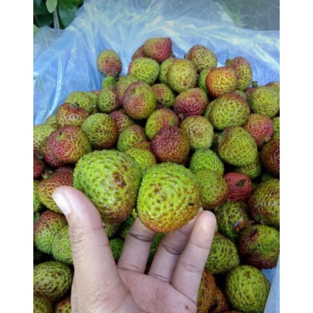 

Chat admin untuk menanyakan ketersediaan nya..Leci madu 250gr,500gr, 1kg