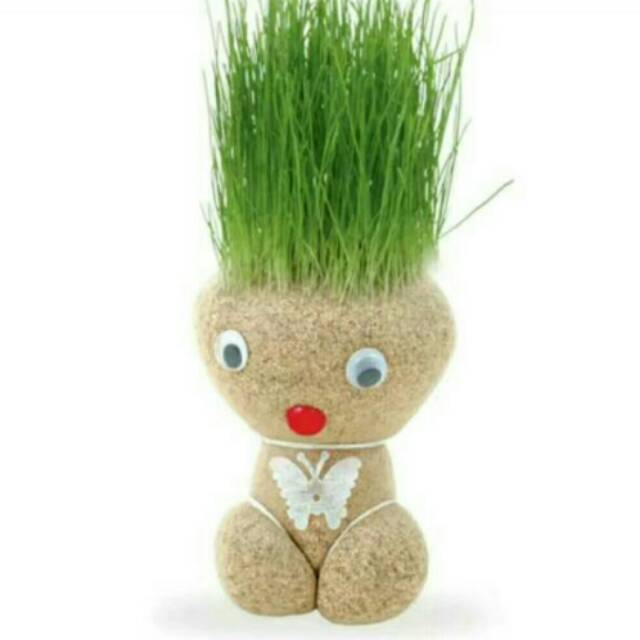 Boneka Rumput Horta Shopee Indonesia Boneka Rumput Horta Shopee Indonesia