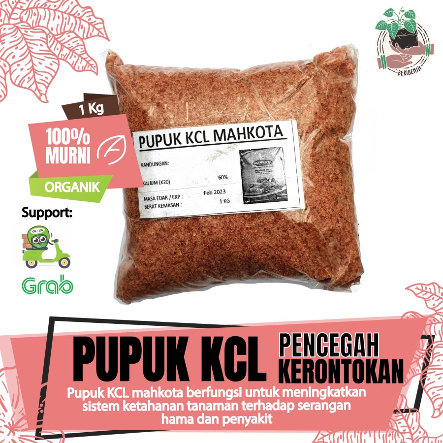 Jual Pupuk Tanaman Tumbuhan Buah Bunga Sayur KCL Mahkota Original ...