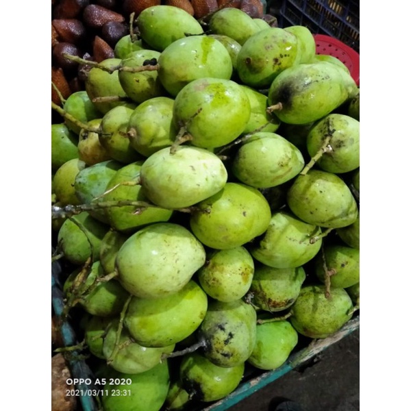 

Mangga Cengkir mentah 1kg|buah segar bandung