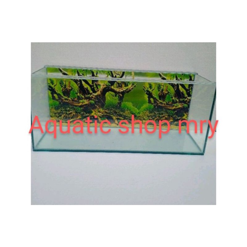 Aquarium 60x20x25 background