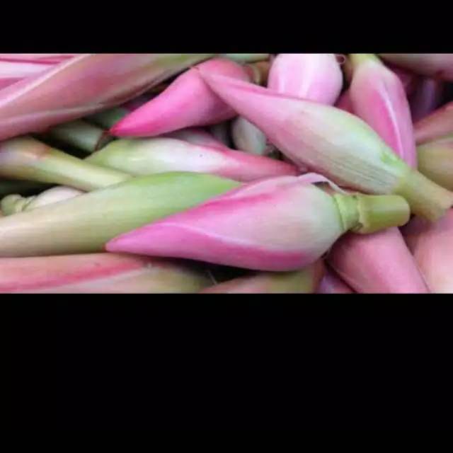 

Kecombrang per 1 pcs