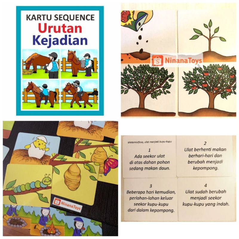 Kartu urutan kejadian flash card kartu sequence flashcard