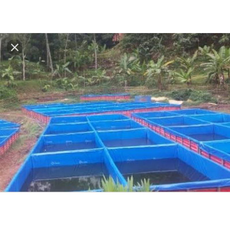 kolam terpal/terpal kolam/kolam lele kotak 3x1x1 A12