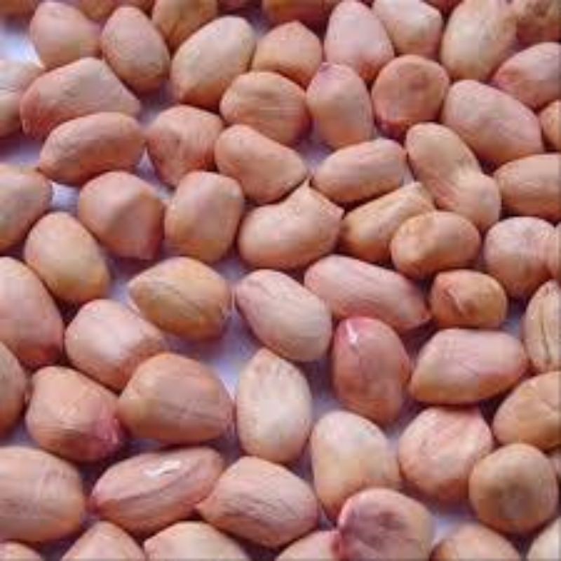 

kacang tanah 500 gram