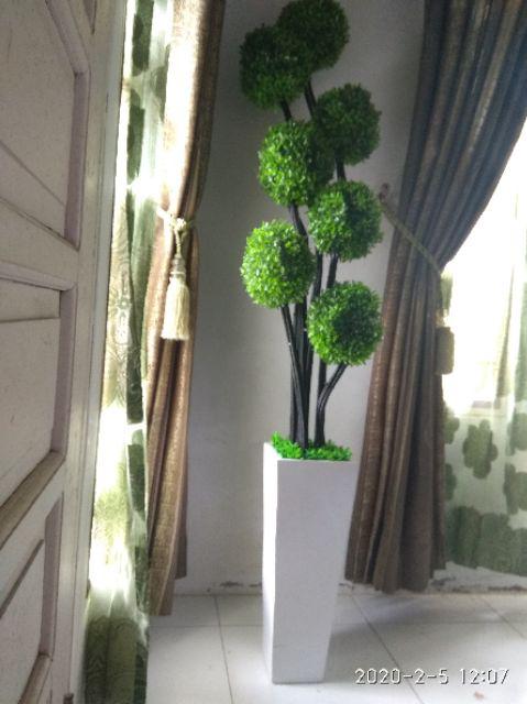 Bonsai Sudut / Bunga Sudut